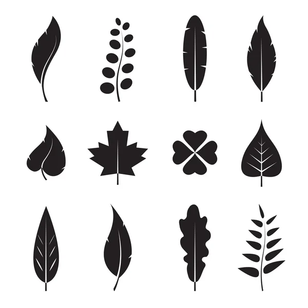 Vector leaves icon set on white background — Stock Vector