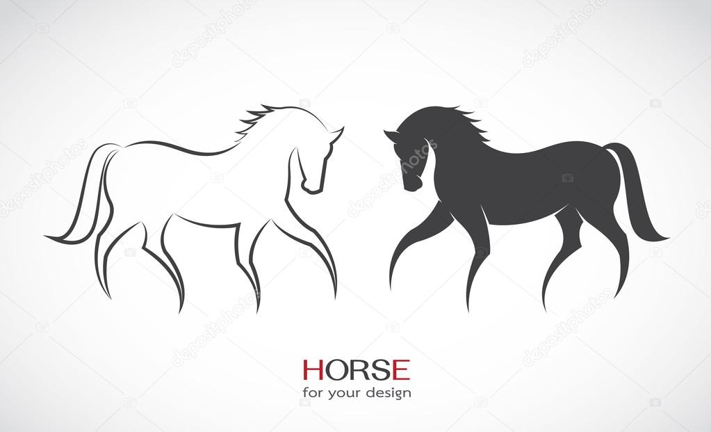 Vector image of an horse design on white background