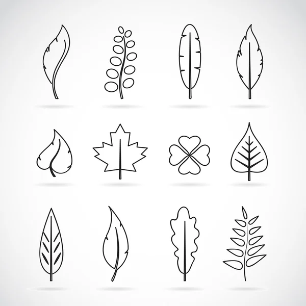 Vector leaves icon set on white background — Stock Vector