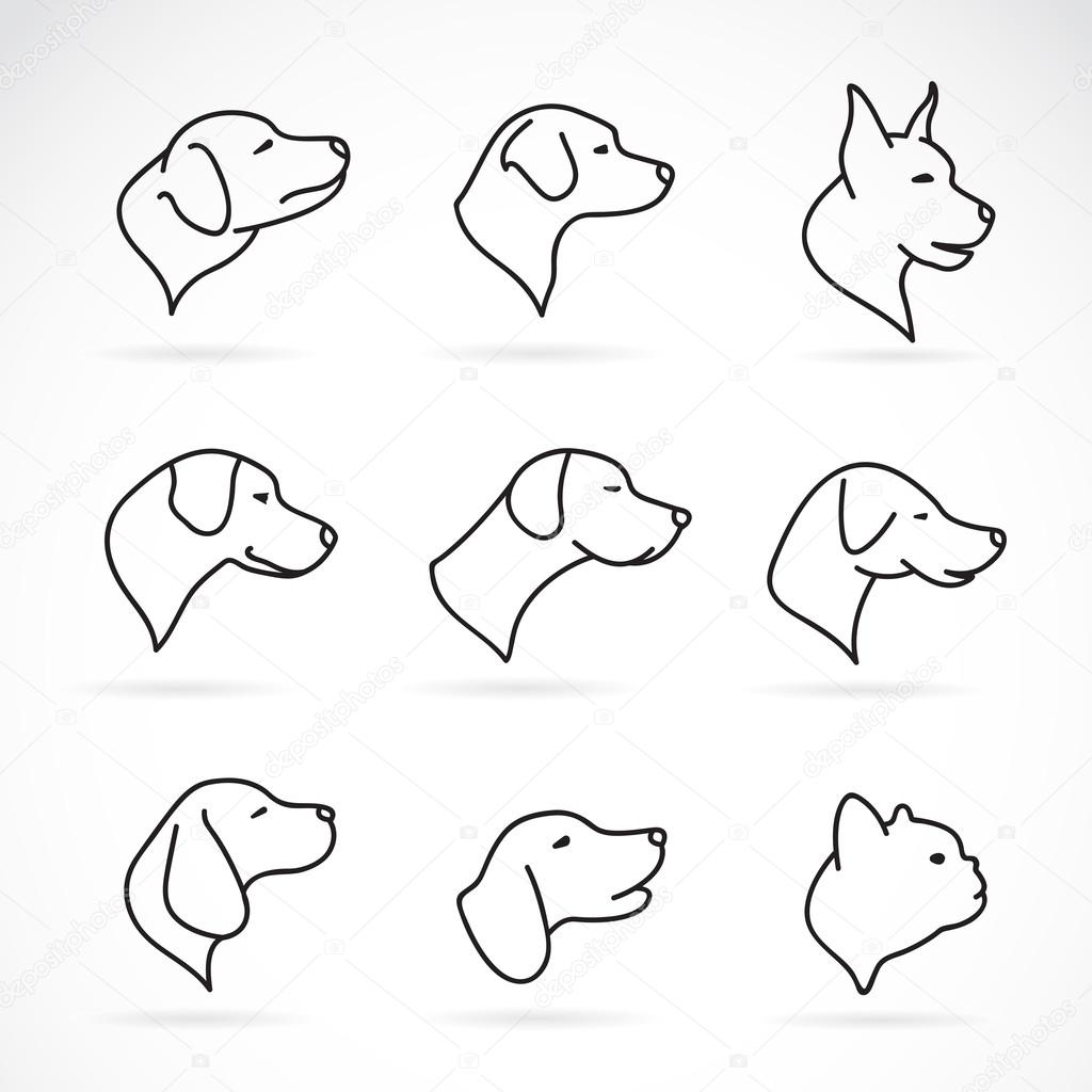 Vector image of an dog head on white background