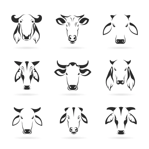 Conjunto vectorial de cabeza de vaca sobre fondo blanco — Archivo Imágenes Vectoriales