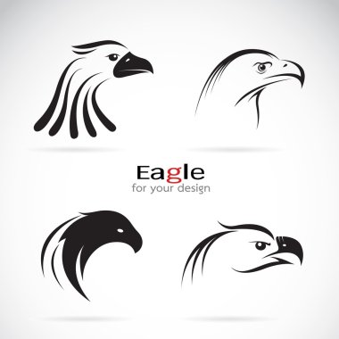 Vector group of eagle head design on white background. clipart