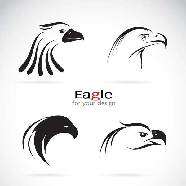 Grupo vectorial de diseño de cabeza de águila sobre fondo blanco. — Vector de stock