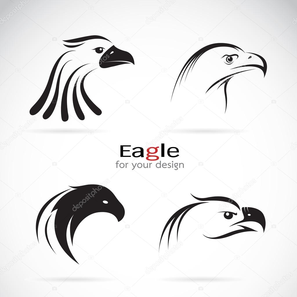 Vector group of eagle head design on white background.