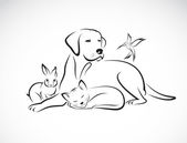 Vektor csoport háziállat - kutya, macska, madár, nyúl, elszigetelt fehér