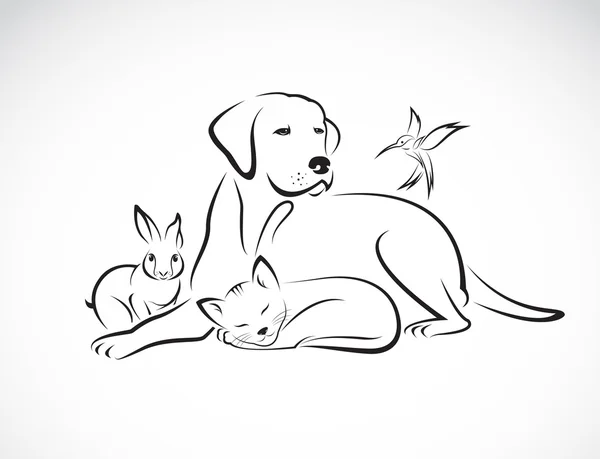 Vector grupp av sällskapsdjur - hund, katt, fågel, kanin, isolerad på vit — Stock vektor