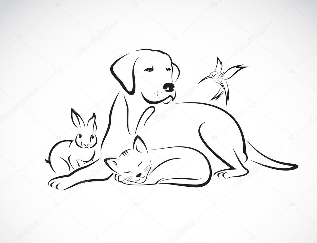 Vector group of pets - Dog, cat, bird, rabbit, isolated on white