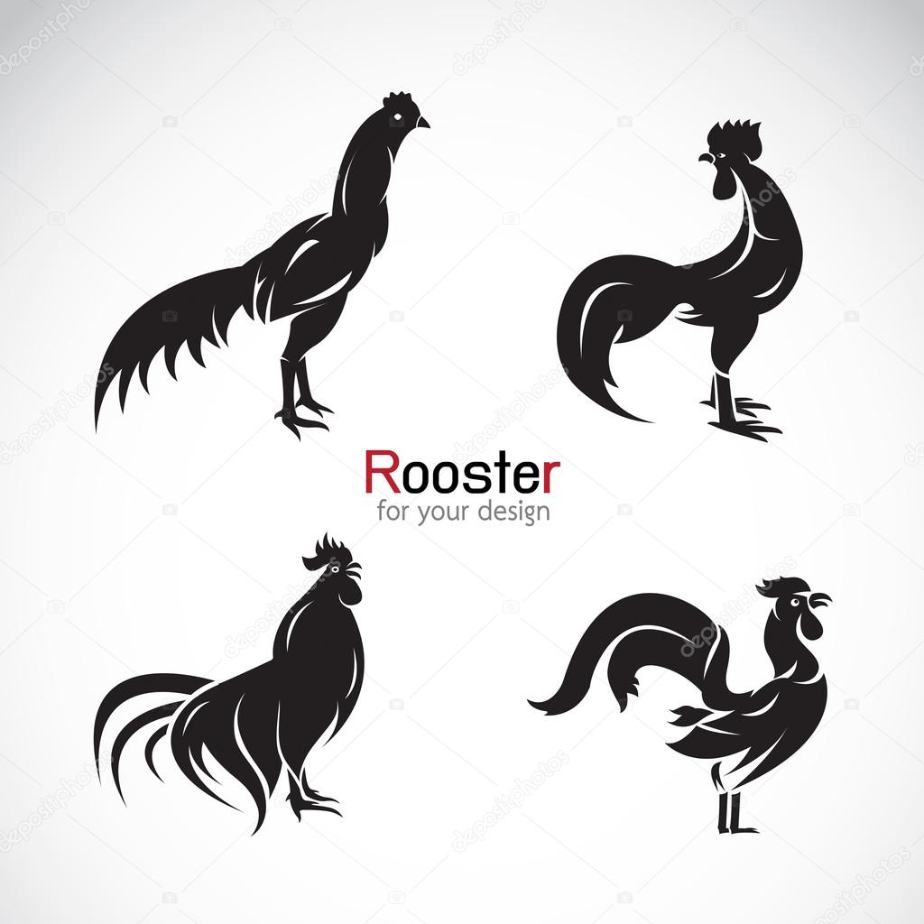 Vector group of rooster design on white background.