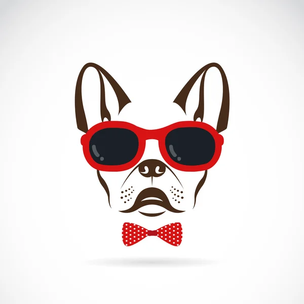 Imágenes vectoriales de perro (bulldog) con gafas de sol en respaldo blanco — Vector de stock