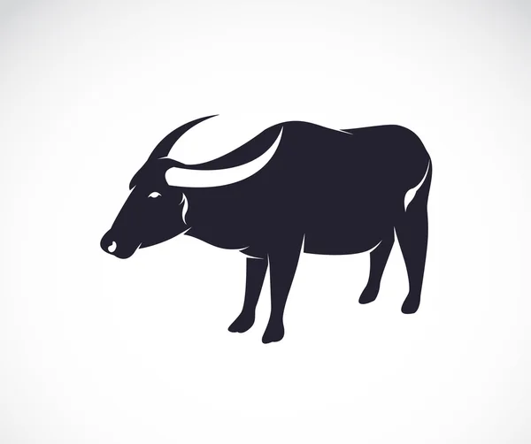 Imagem vetorial de um búfalo sobre fundo branco. — Vetor de Stock