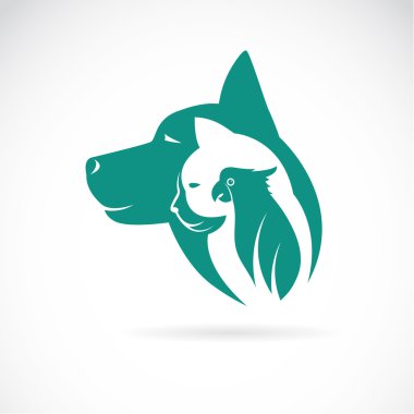 Vektör görüntü bir köpek kedi ve beyaz arka plan üzerinde kuş. Hayvan 