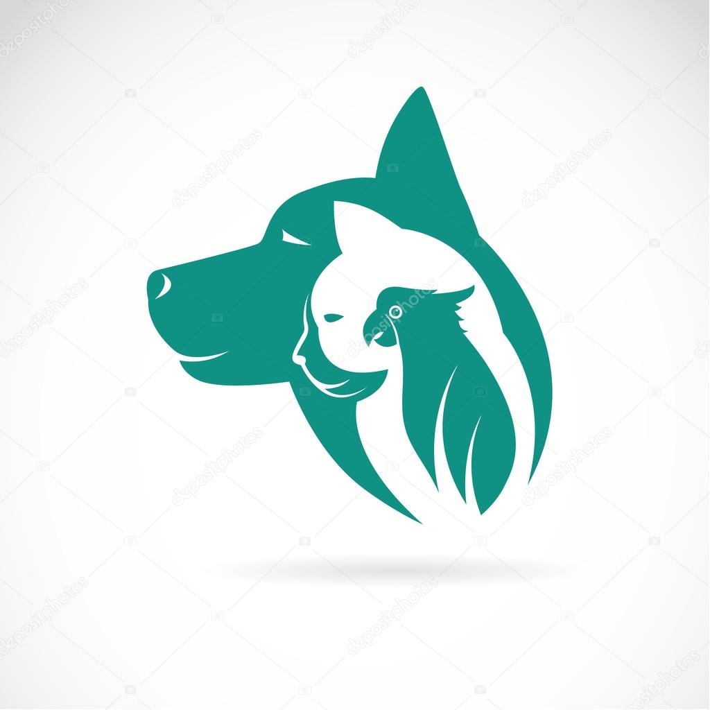 Vector image of an dog cat and bird on white background. Animal 