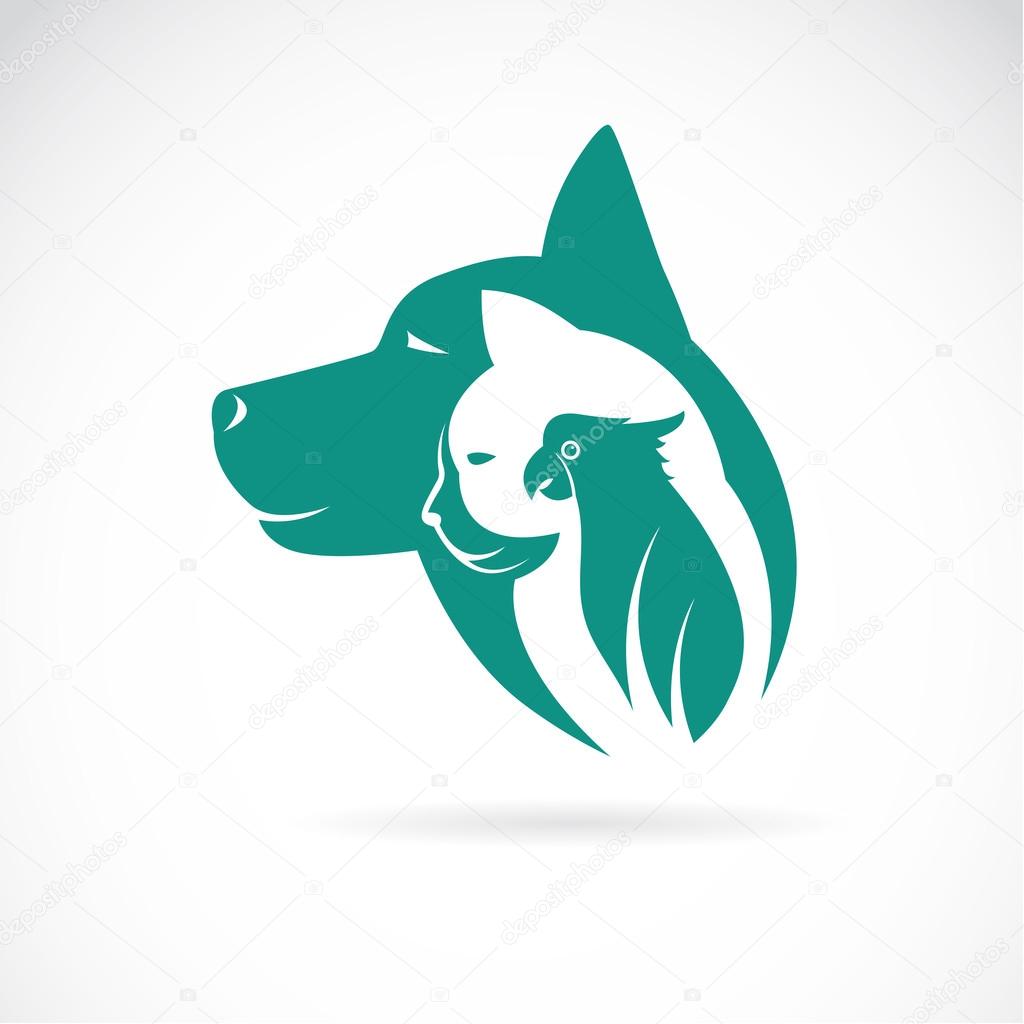 Vector image of an dog cat and bird on white background. Animal design