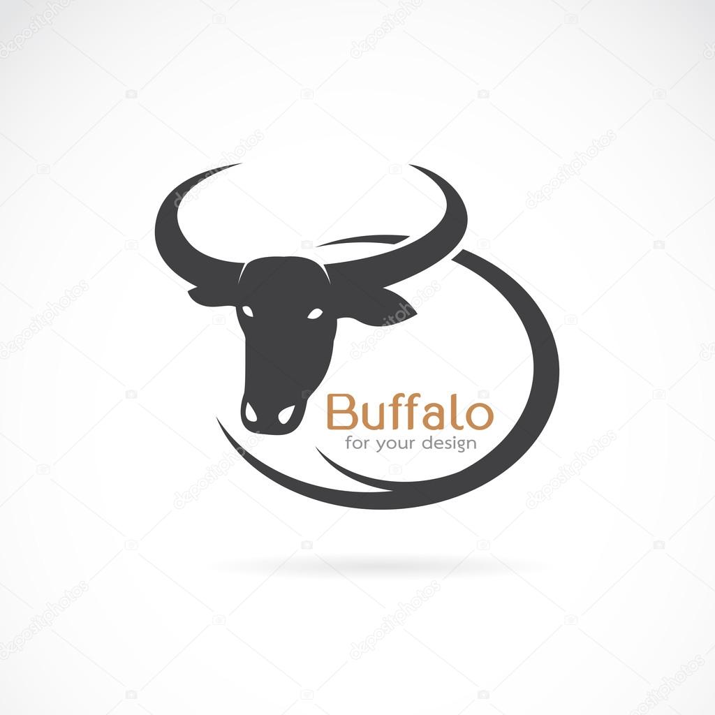 Vector image of an buffalo design on white background.