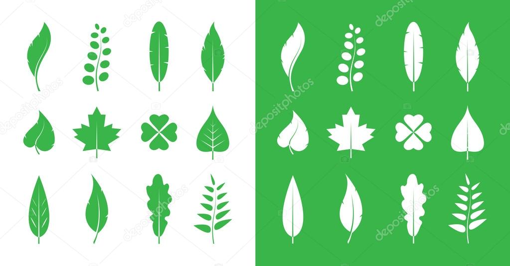 Vector leaves icon set on white background and on green background