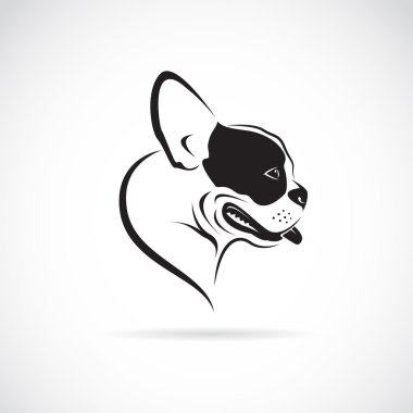 Vector image of an dog (bulldog) on white background clipart