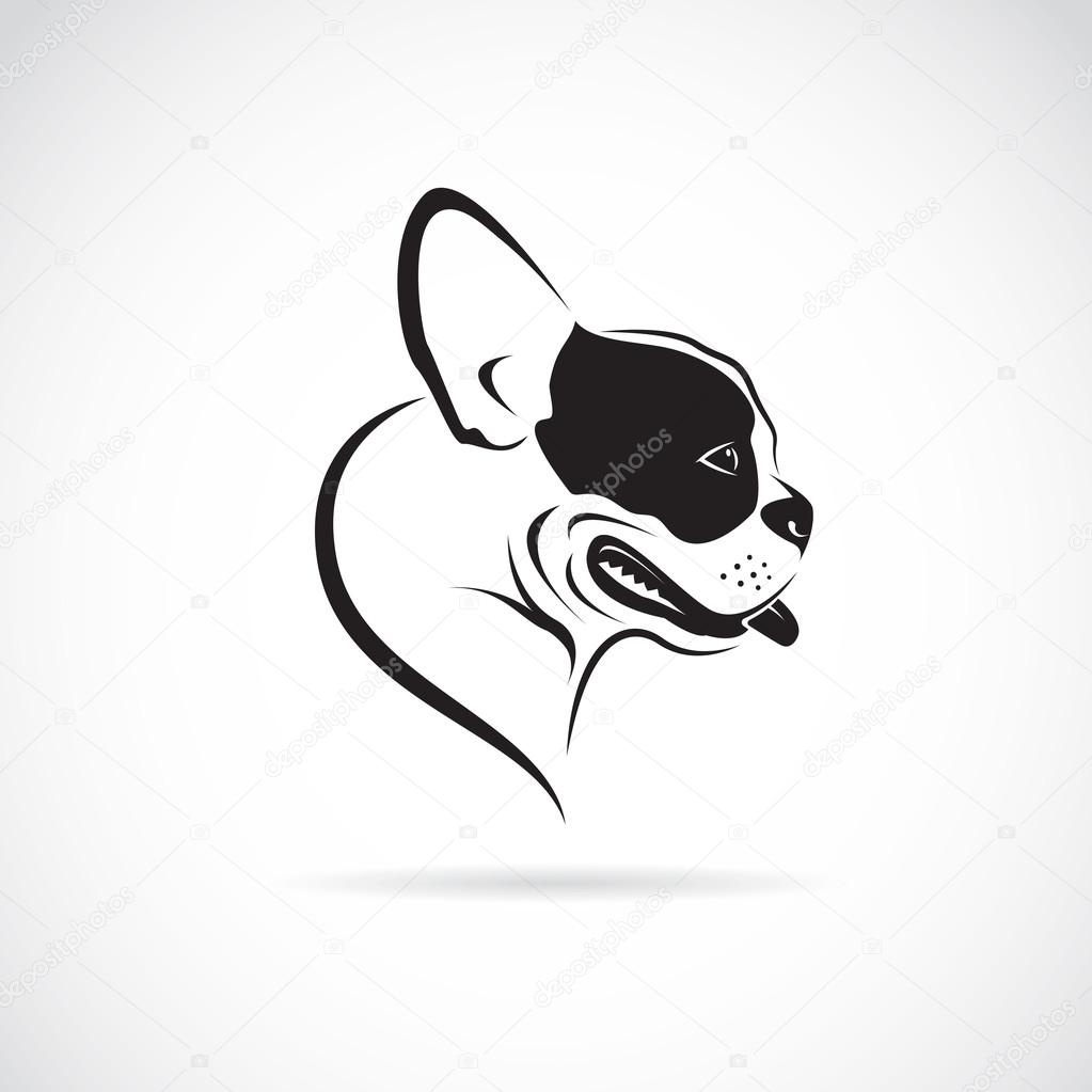 Vector image of an dog (bulldog) on white background