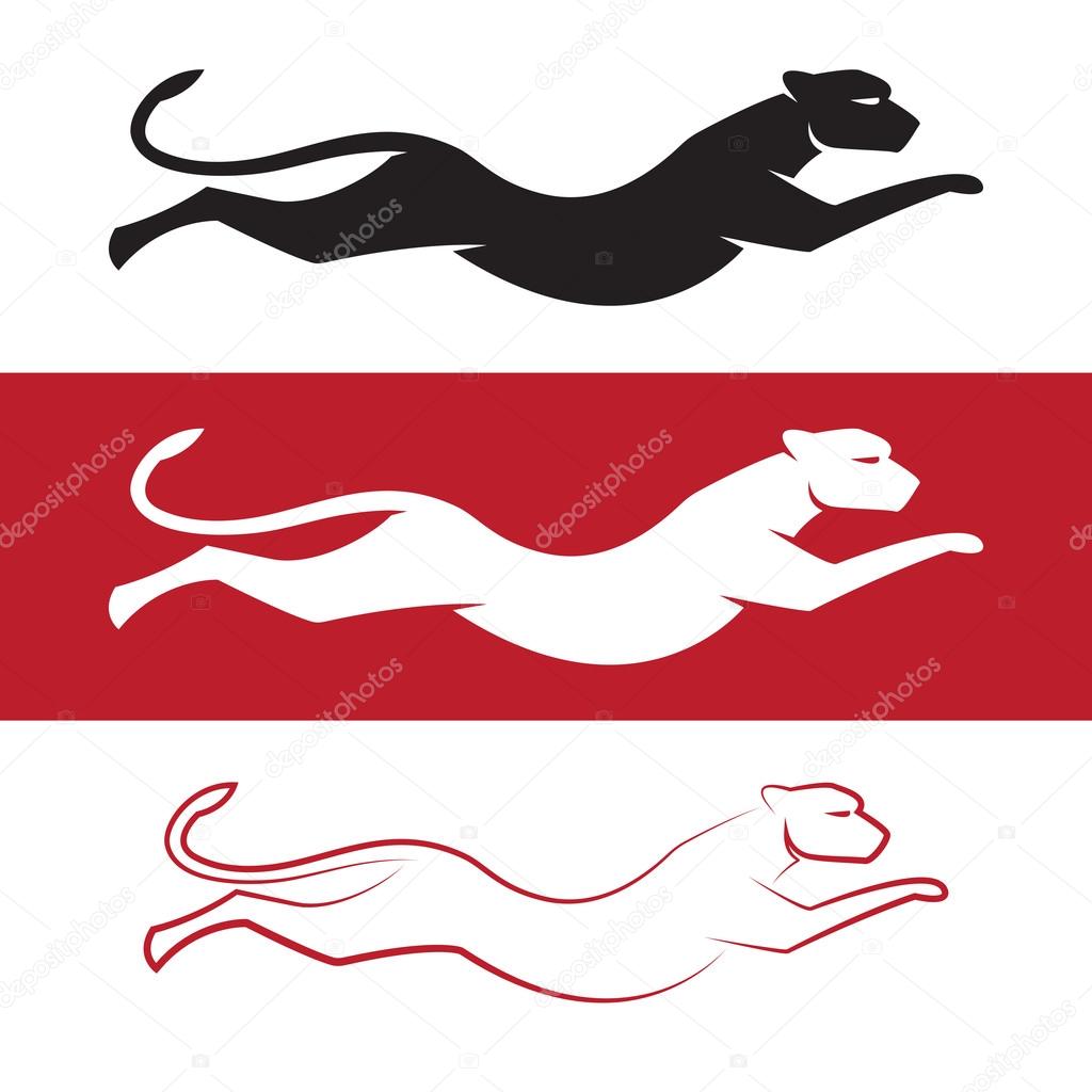 Vector image of an cheetah on white background and red background