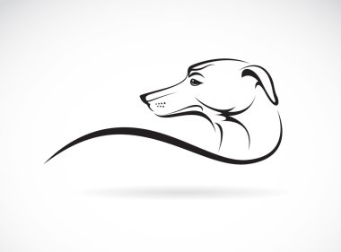 Beyaz arkaplanda bir köpeğin (azawakh) vektör resmi