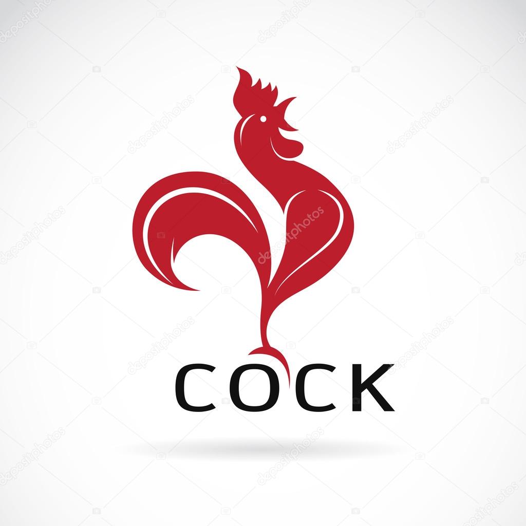 Vector image of an cock design on white background