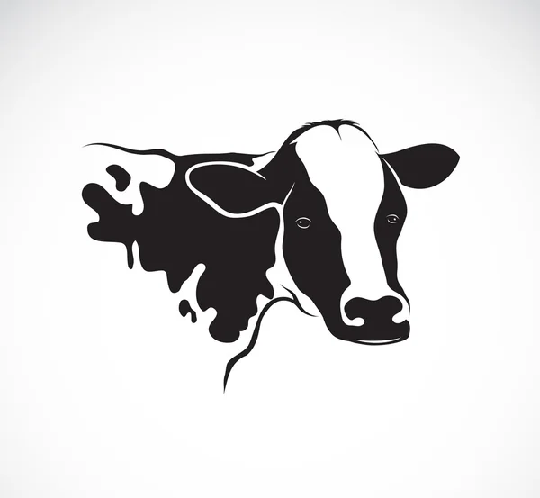 Imagen vectorial de una vaca sobre fondo blanco — Vector de stock