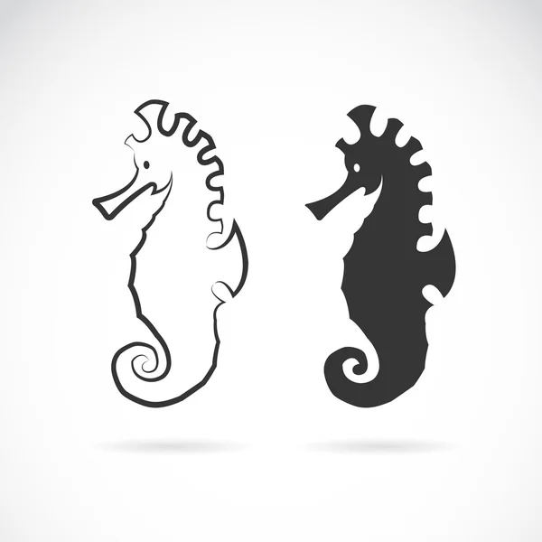 Vector image of an sea horse on white background — Stock Vector