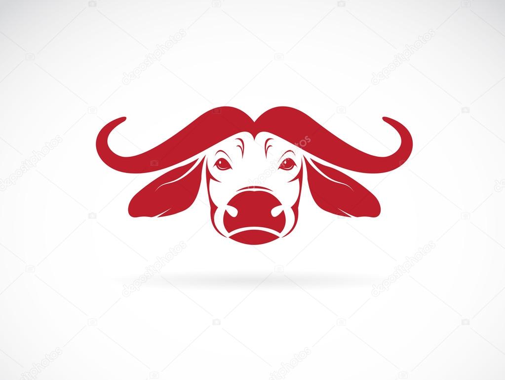 Vector image of an buffalo head on white background