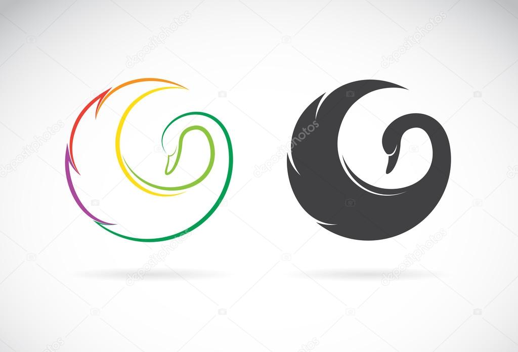 Vector images of swan design