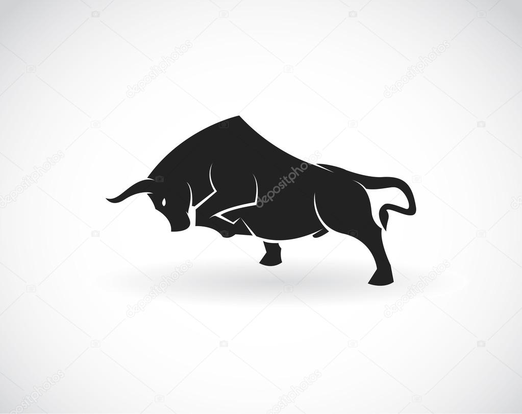 Vector image of an bull on a white background