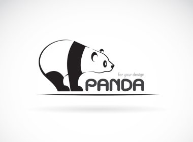 Beyaz arkaplanda bir panda tasarımı vektör görüntüsü