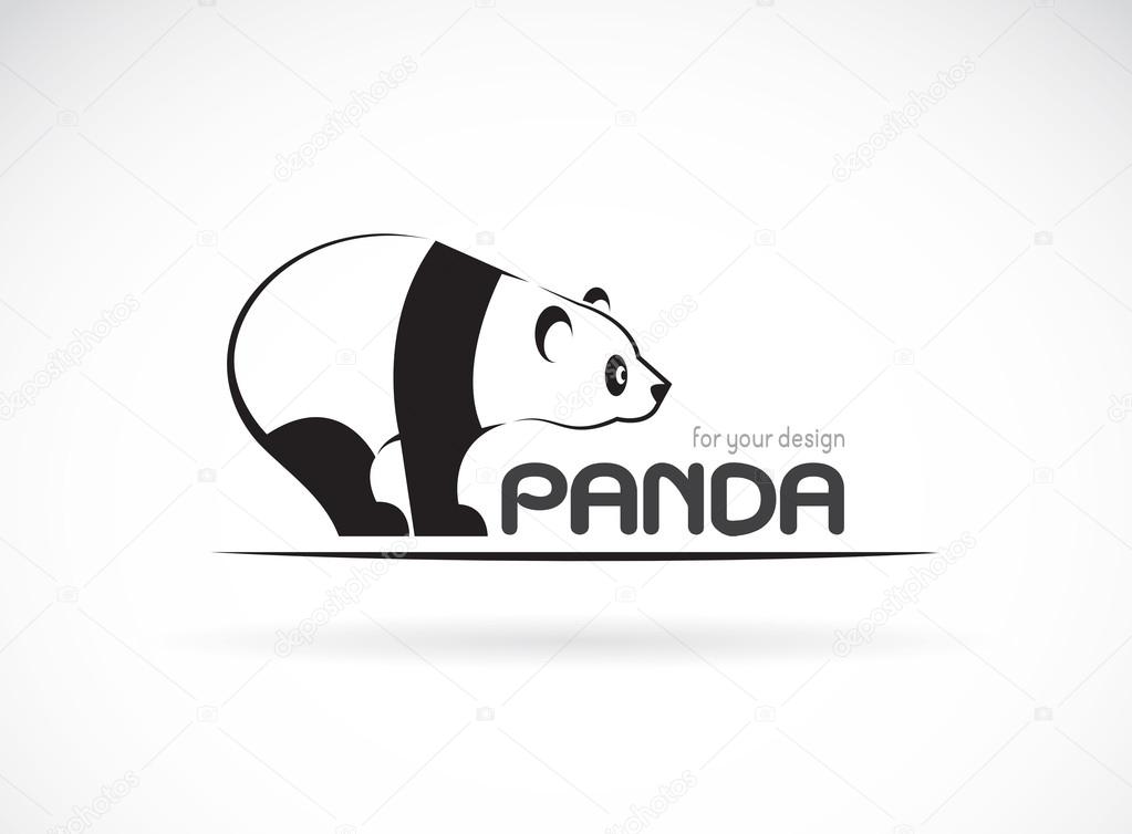 Vector image of an panda design on a white background