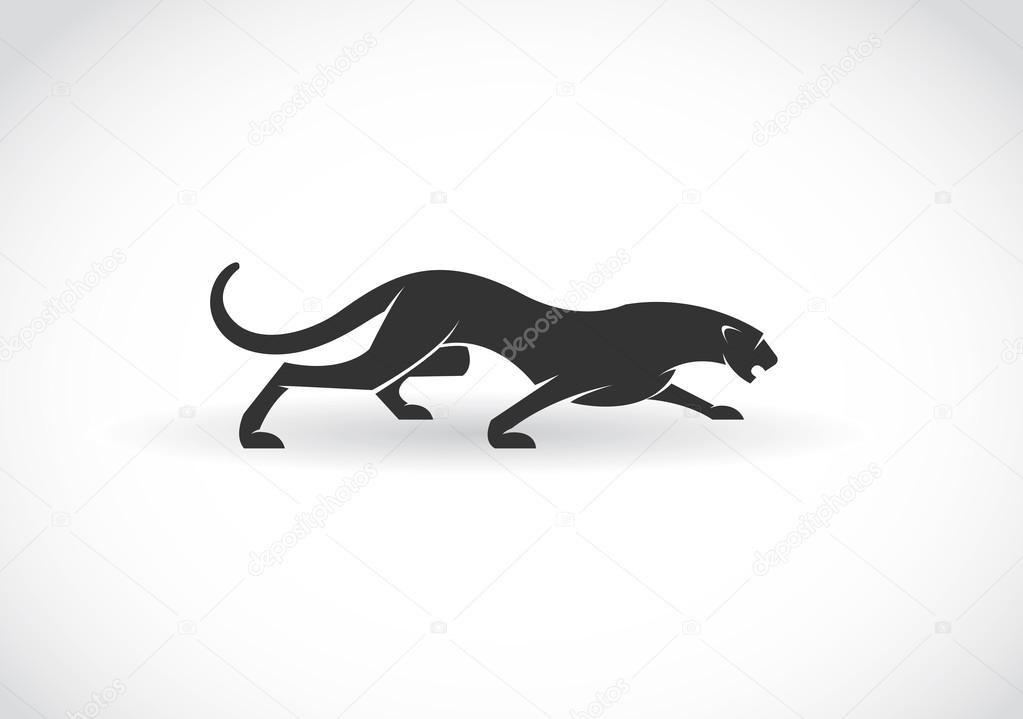 Vector image of an panther  on a white background