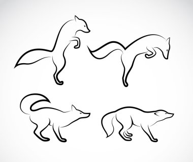 Beyaz arkaplanda bir tilkinin vektör görüntüsü