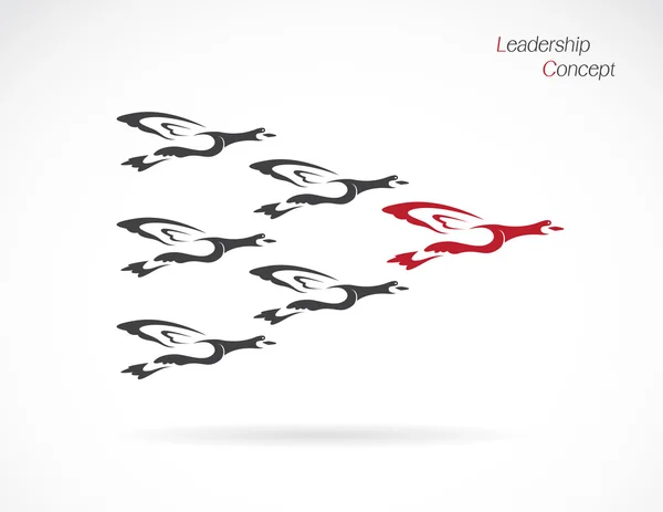 Bandada de patos salvajes volando, concepto de liderazgo — Vector de stock
