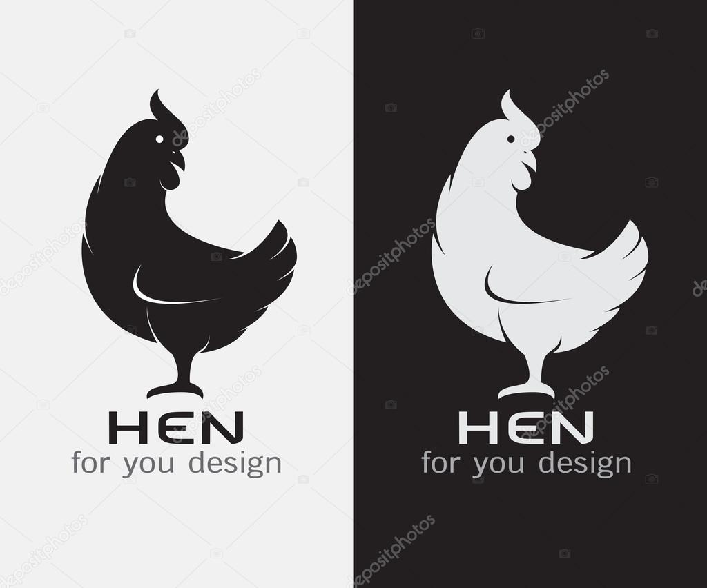 Vector image of an hen on white background and black background