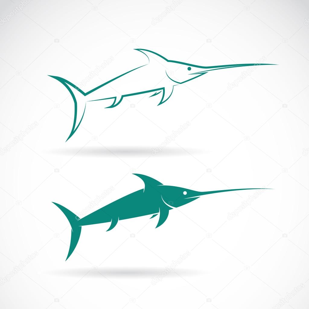 Vector image of an sailfish on white background