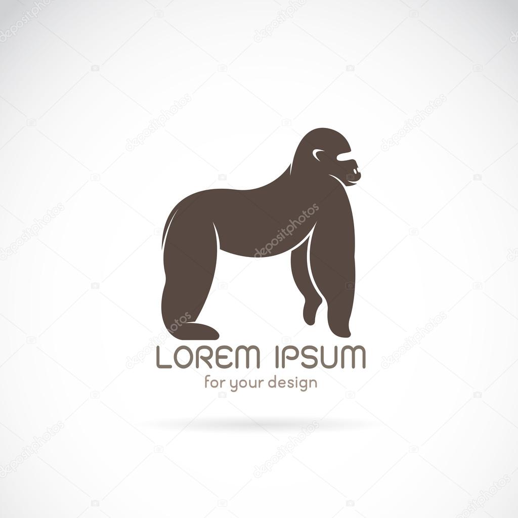 Vector image of an gorilla design on white background
