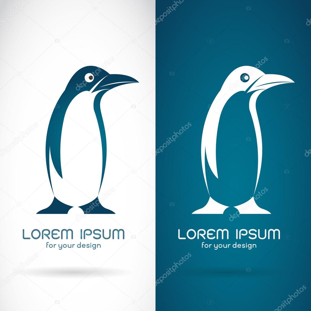 Vector image of an penguin design on white background and blue background, Logo, Symbol