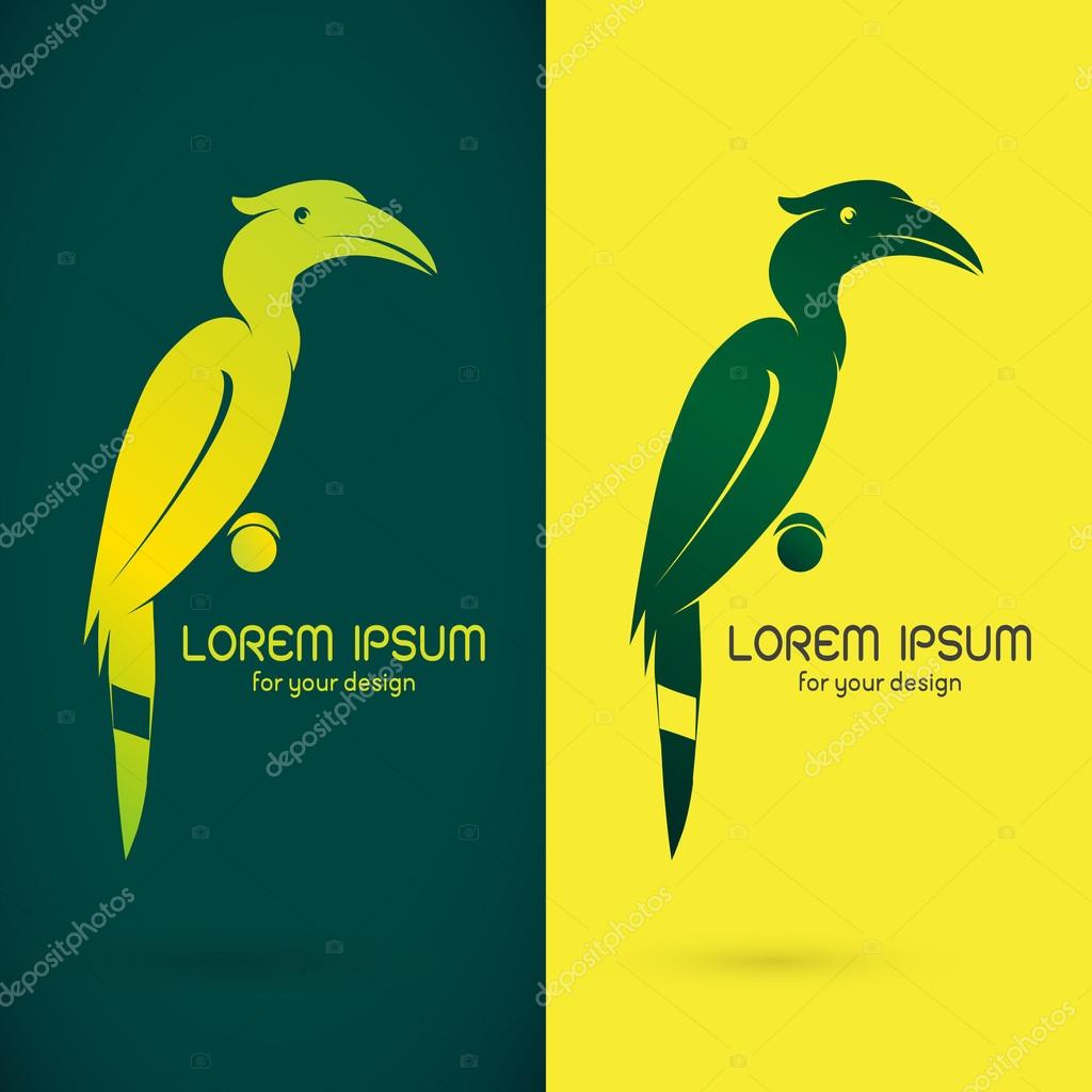 Vector image of an hornbill design on green background and yellow background, Logo, Symbol