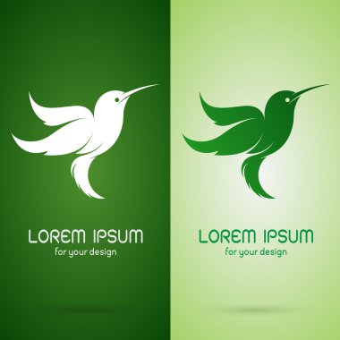 Vektör görüntü bir sinek kuşu tasarım koyu yeşil zemin üzerine bir