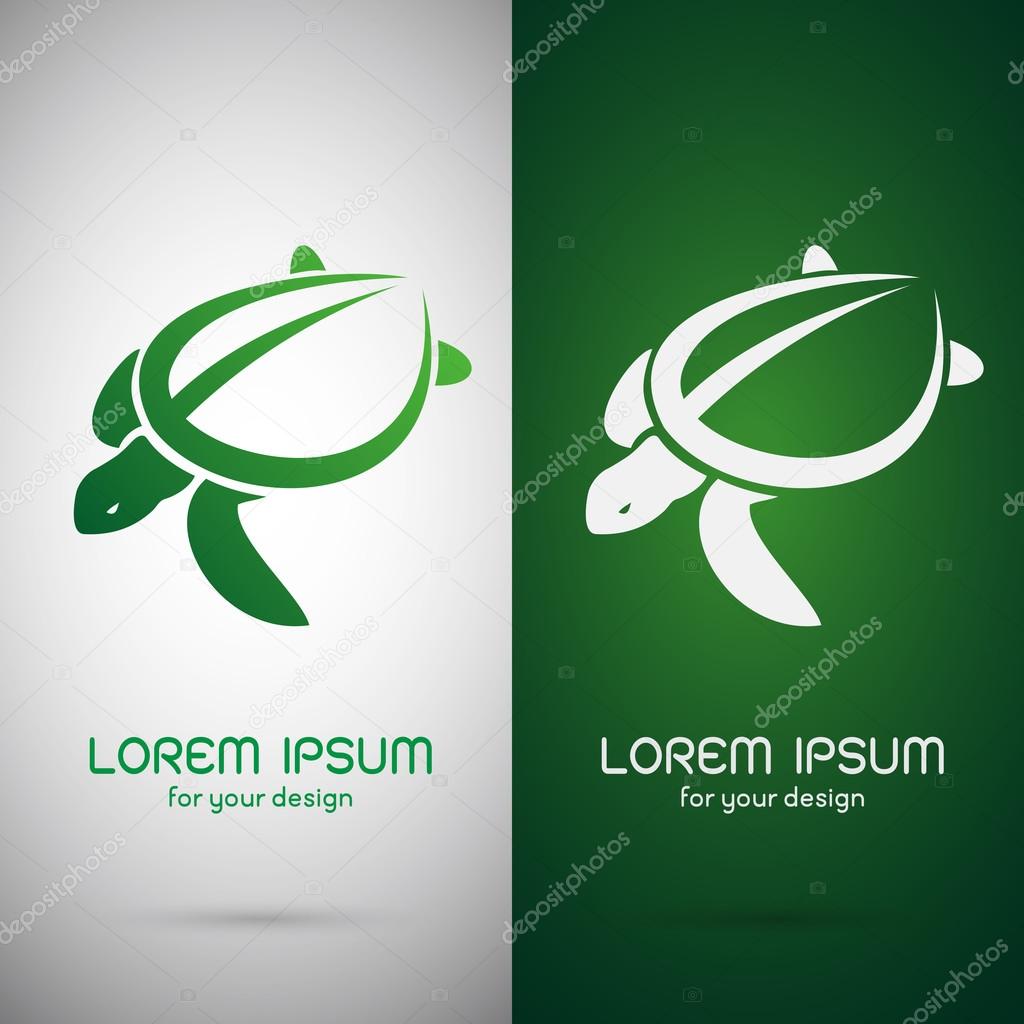Vector image of an turtle design on white background and green background, Logo, Symbol