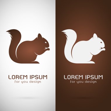 Beyaz arka plan ve kaş bir sincap tasarım vektör görüntü