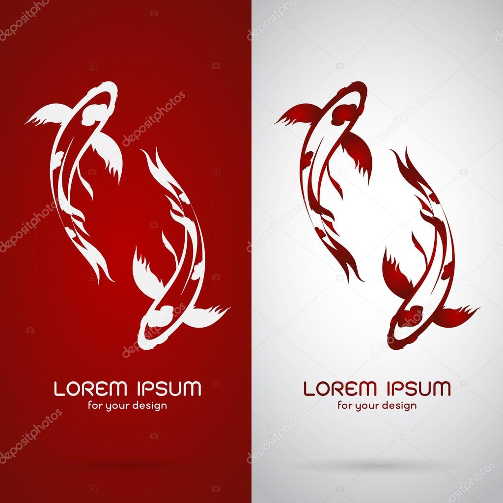 Vector image of an carp koi design on white background and red background, Logo, Symbol