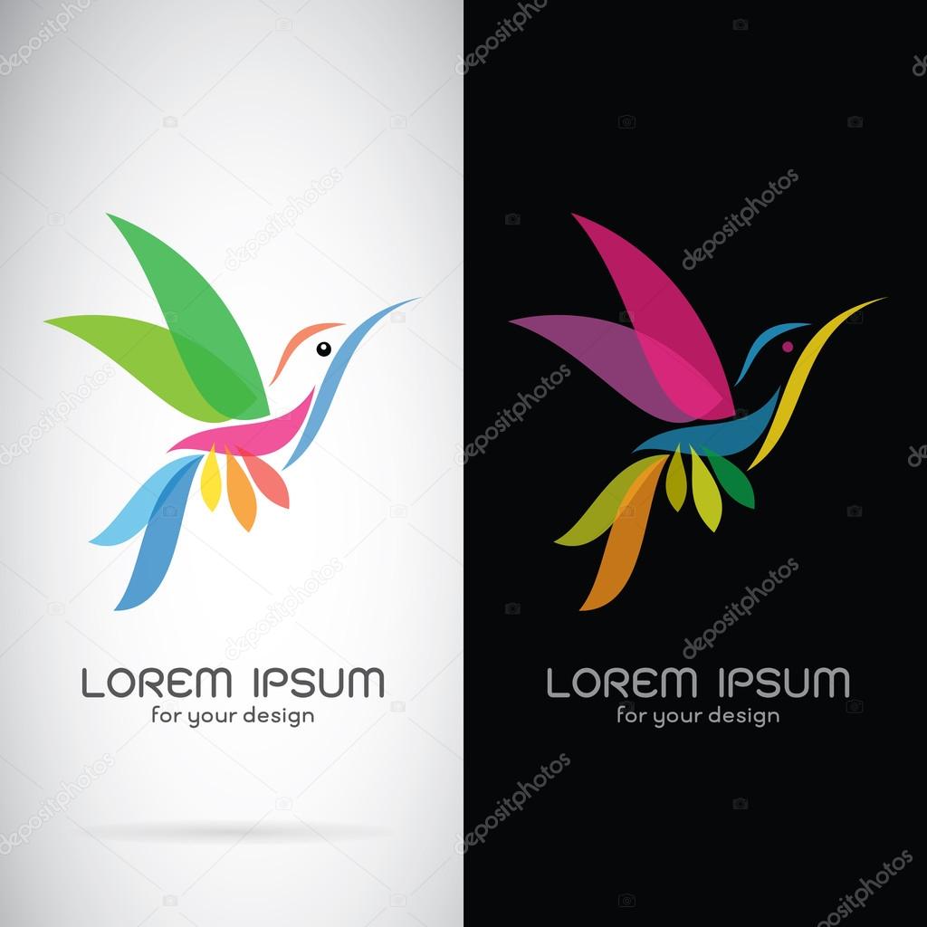 Vector image of an hummingbird design on white background and black background, Logo, Symbol