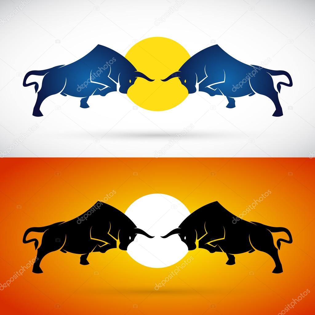 Vector image of an bull fight on white background and orange background, Logo, Symbol