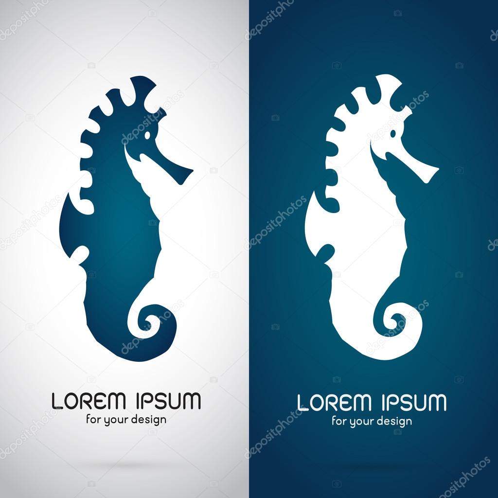 Vector image of an sea horse design on white background and blue background, Logo, Symbol