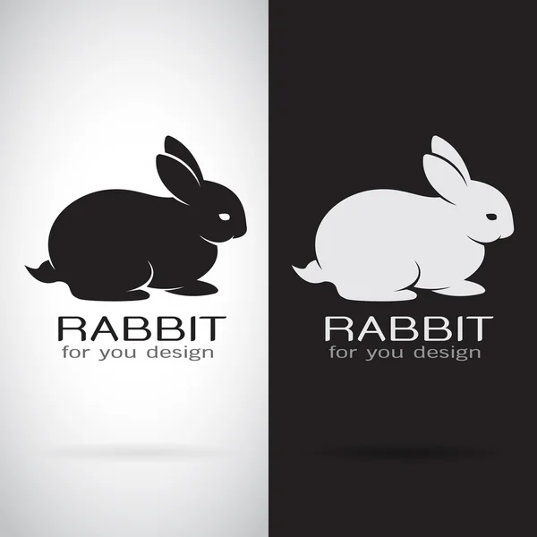 Vector image of a rabbit design on white background and black ba — Stock Vector