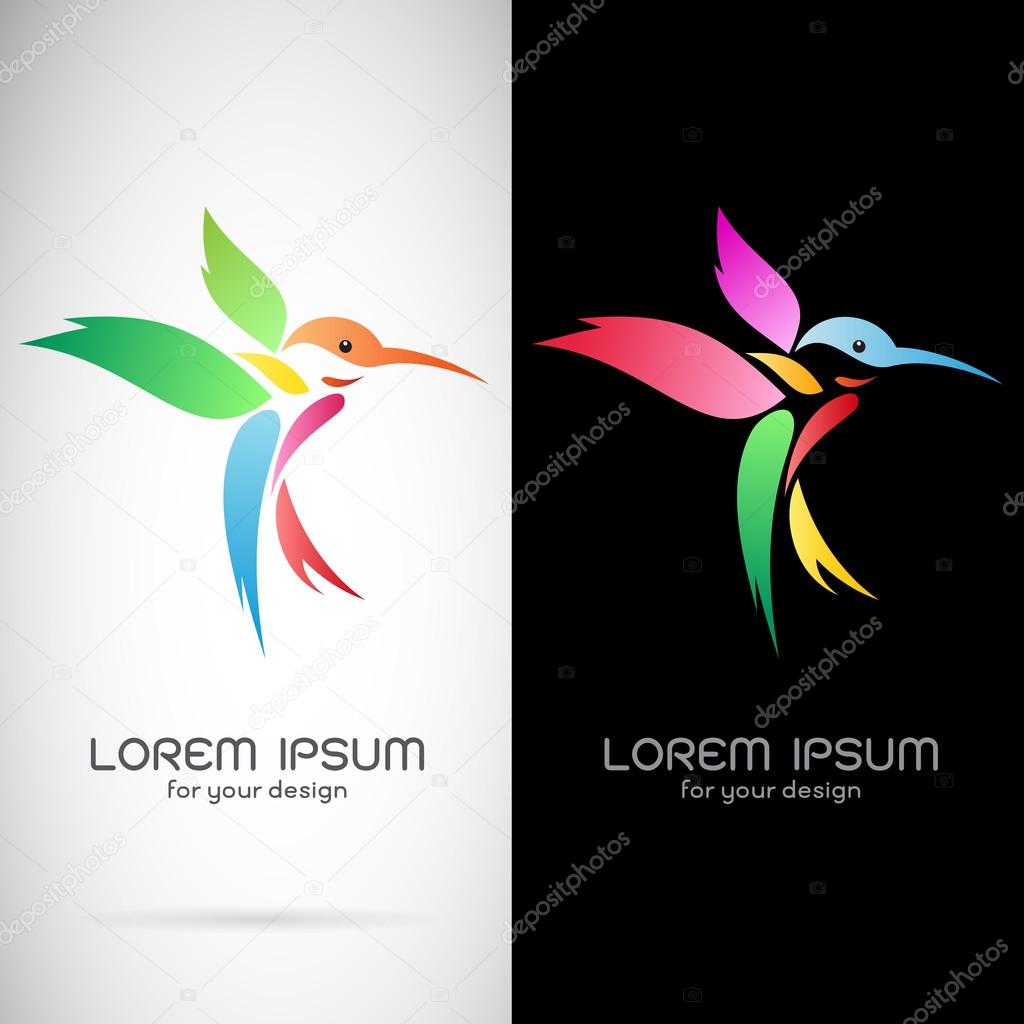 Vector image of an hummingbird design on white background and black background, Logo, Symbol
