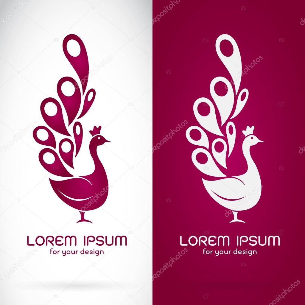 Vector image of an peacock design on white background and purple background, logo, symbol,