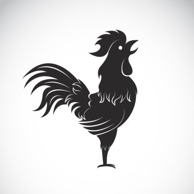 Vector image of an cock on white background clipart